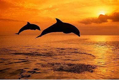 传闻：《质量效应》新作或将放弃寒霜引擎改用虚幻引擎