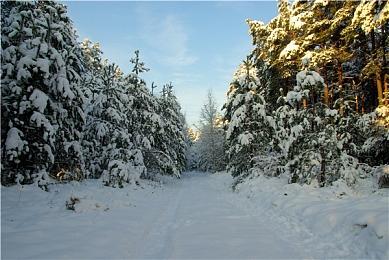 《Roblox》宣布提高平台付费游戏制作者收入分成